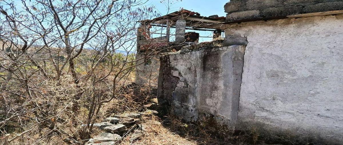 Foto de terreno habitacional en venta en  , ixtapan del oro, ixtapan del oro, méxico, 0 No. 04