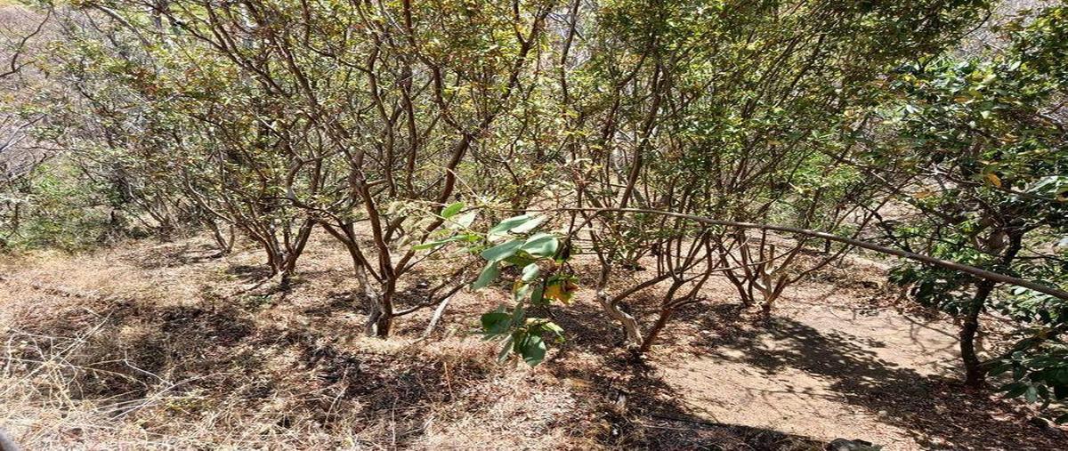 Foto de terreno habitacional en venta en  , ixtapan del oro, ixtapan del oro, méxico, 0 No. 05