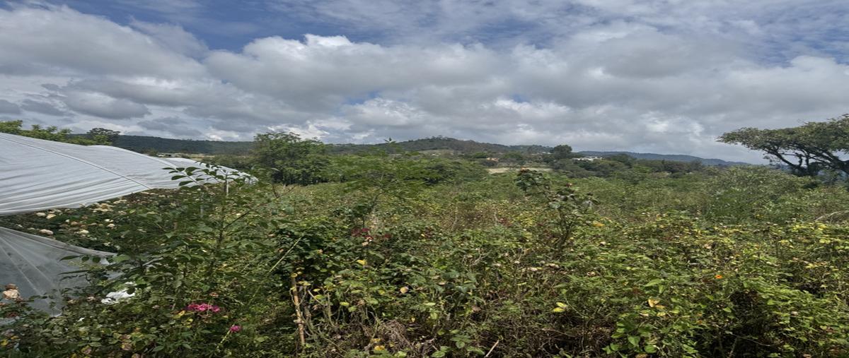 Foto de terreno industrial en venta en ixtapan , ixtapan de la sal, ixtapan de la sal, méxico, 0 No. 08