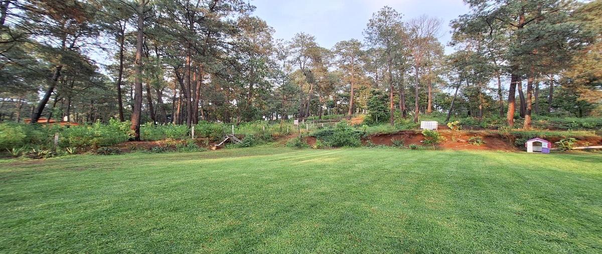 Foto de casa en venta en ixtla , san gabriel ixtla, valle de bravo, méxico, 28557782 No. 05