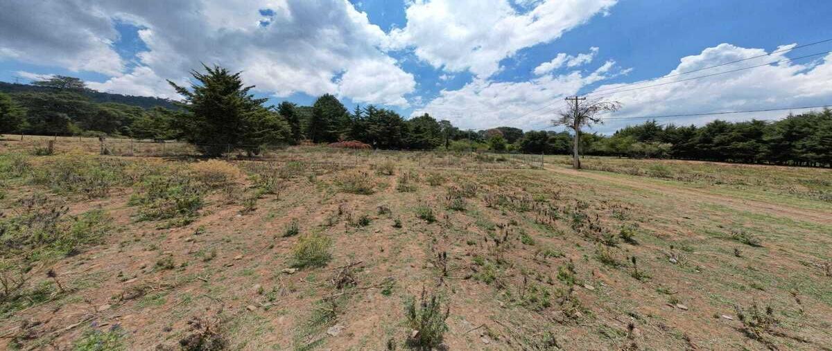Foto de terreno habitacional en venta en ixtla , san gabriel ixtla, valle de bravo, méxico, 28807668 No. 03