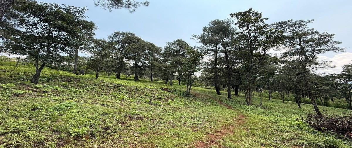 Foto de terreno habitacional en ixtla , san gabriel ixtla, valle de bravo, méxico, 0 foto 01 Foto de terreno habitacional en venta en ixtla , san gabriel ixtla, valle de bravo, méxico, 0 No. 01