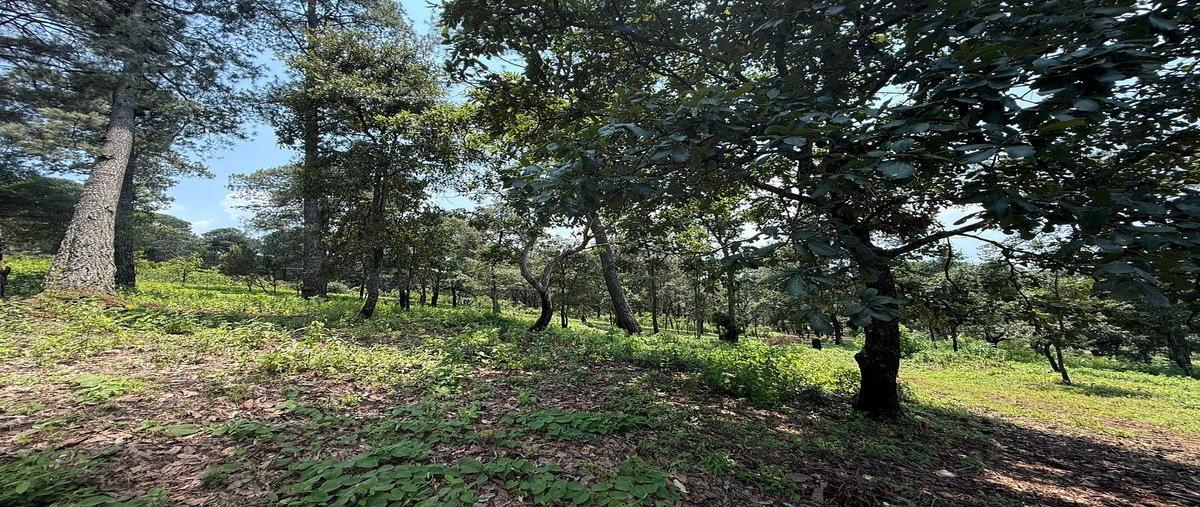 Foto de terreno habitacional en ixtla , san gabriel ixtla, valle de bravo, méxico, 0 foto 03 Foto de terreno habitacional en venta en ixtla , san gabriel ixtla, valle de bravo, méxico, 0 No. 03