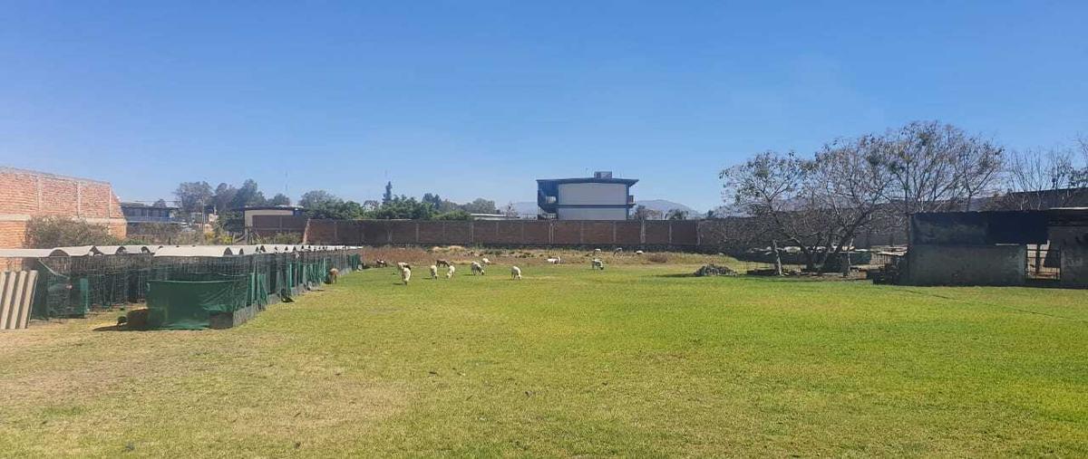 Foto de terreno habitacional en venta en  , ixtlahuacan de los membrillos, ixtlahuacán de los membrillos, jalisco, 19689776 No. 05