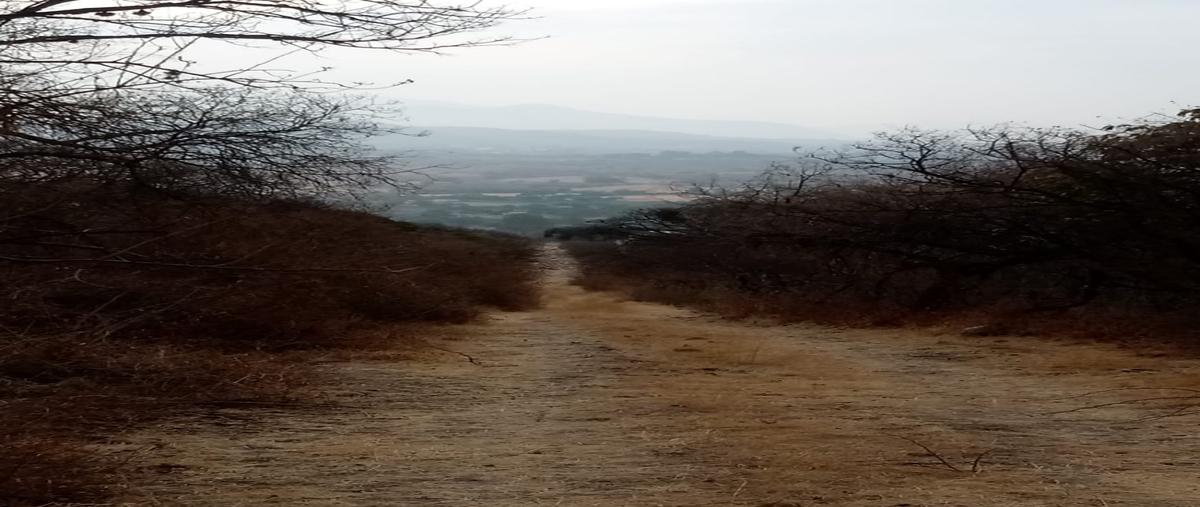 Foto de terreno habitacional en venta en  , ixtlahuacan de los membrillos, ixtlahuacán de los membrillos, jalisco, 21079139 No. 04