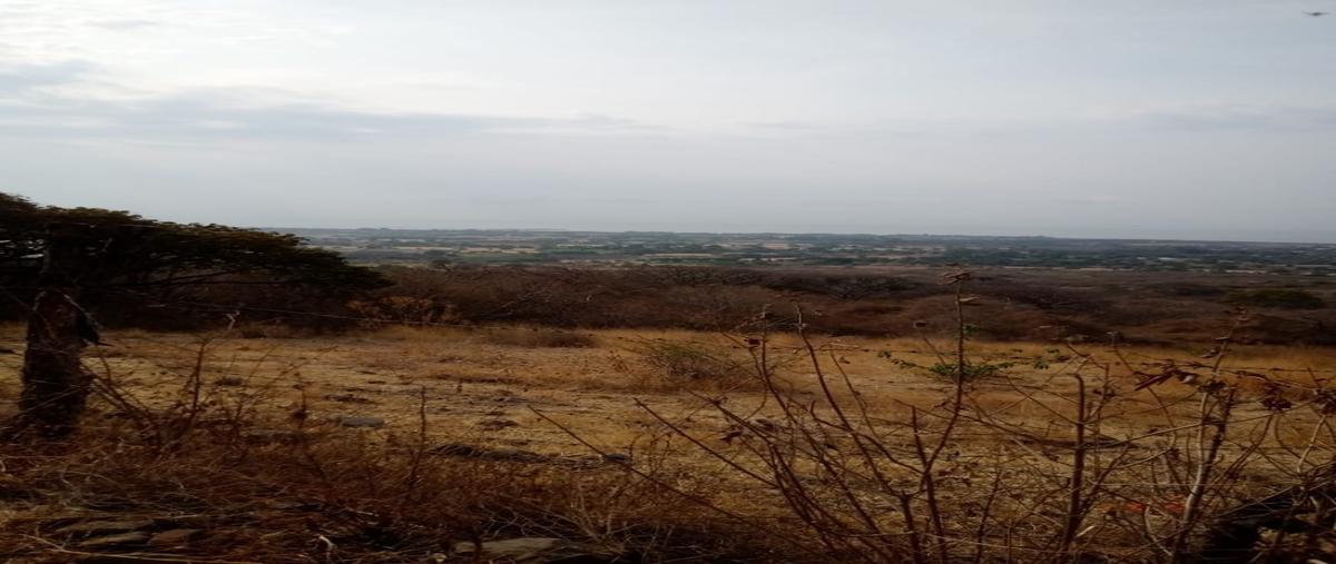 Foto de terreno habitacional en venta en  , ixtlahuacan de los membrillos, ixtlahuacán de los membrillos, jalisco, 21079139 No. 05