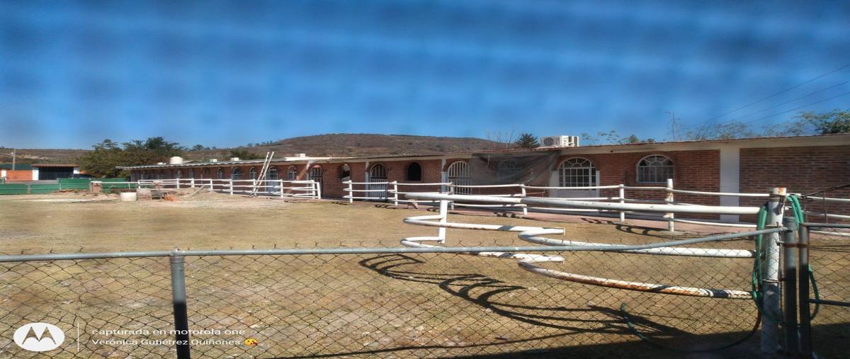 Foto de rancho en venta en  , ixtlahuacan de los membrillos, ixtlahuacán de los membrillos, jalisco, 0 No. 04
