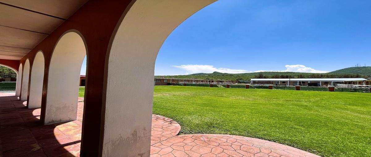 Foto de rancho en venta en  , ixtlahuacan de los membrillos, ixtlahuacán de los membrillos, jalisco, 25392114 No. 03