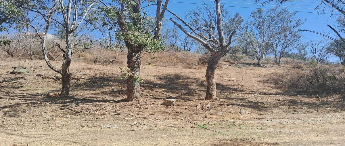 Foto de terreno habitacional en venta en  , ixtlahuacan de los membrillos, ixtlahuacán de los membrillos, jalisco, 0 No. 03