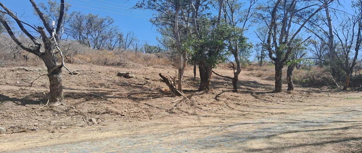 Foto de terreno habitacional en venta en  , ixtlahuacan de los membrillos, ixtlahuacán de los membrillos, jalisco, 0 No. 04