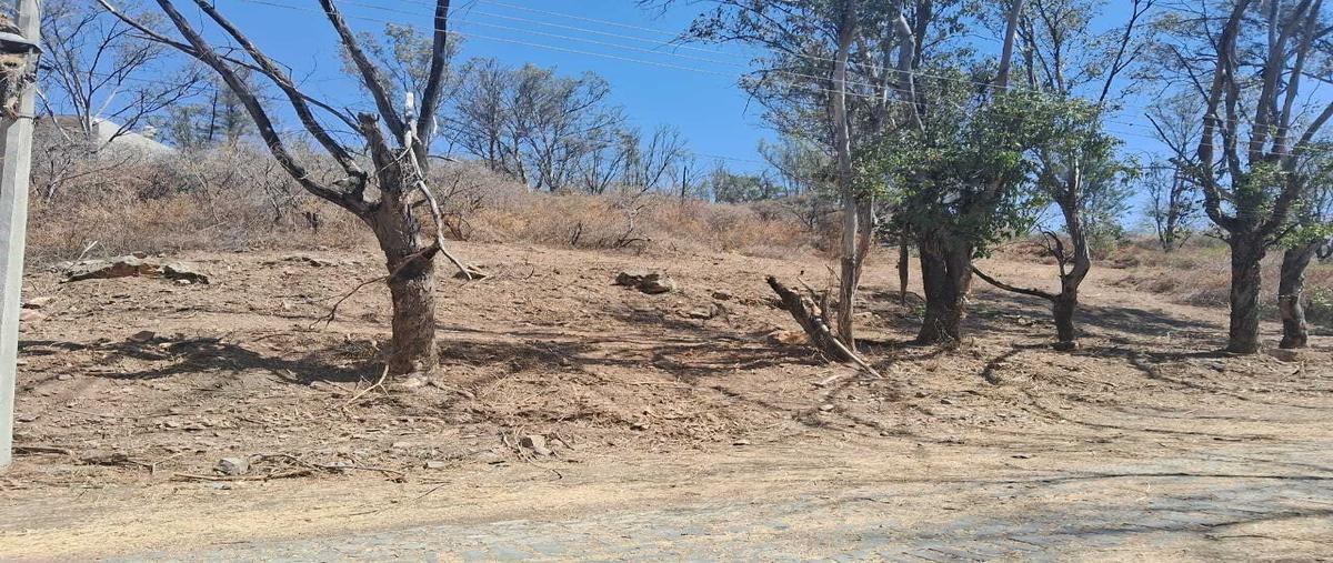 Foto de terreno habitacional en venta en  , ixtlahuacan de los membrillos, ixtlahuacán de los membrillos, jalisco, 0 No. 05