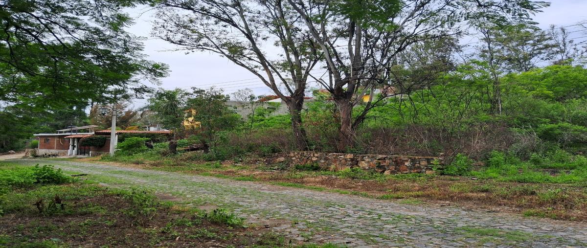 Foto de terreno habitacional en venta en  , ixtlahuacan de los membrillos, ixtlahuacán de los membrillos, jalisco, 0 No. 03