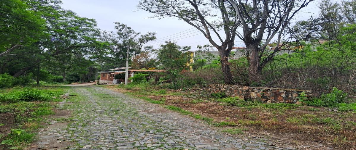 Foto de terreno habitacional en venta en  , ixtlahuacan de los membrillos, ixtlahuacán de los membrillos, jalisco, 0 No. 04