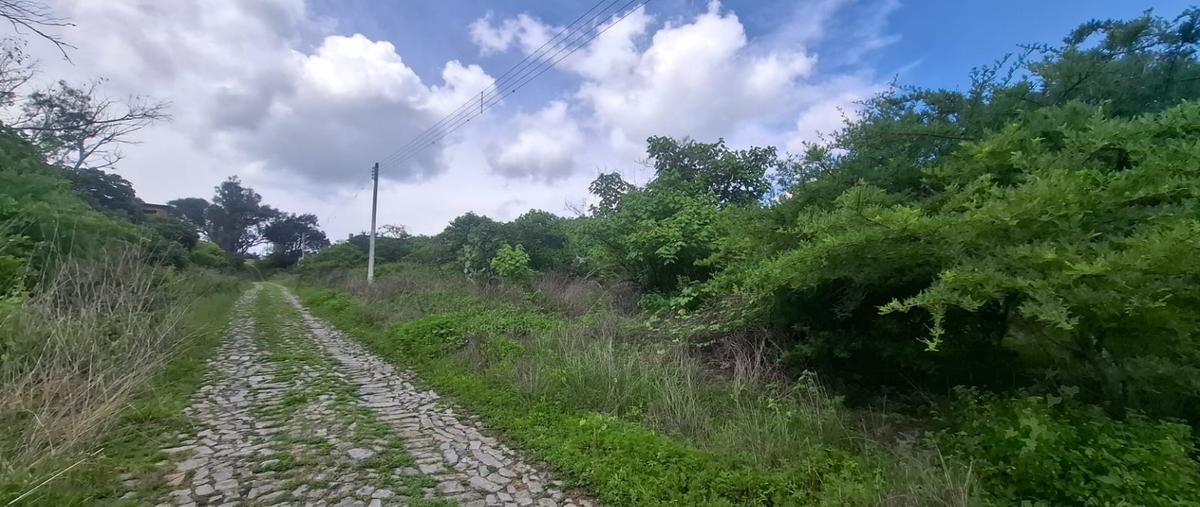 Foto de terreno habitacional en venta en  , ixtlahuacan de los membrillos, ixtlahuacán de los membrillos, jalisco, 30233028 No. 03