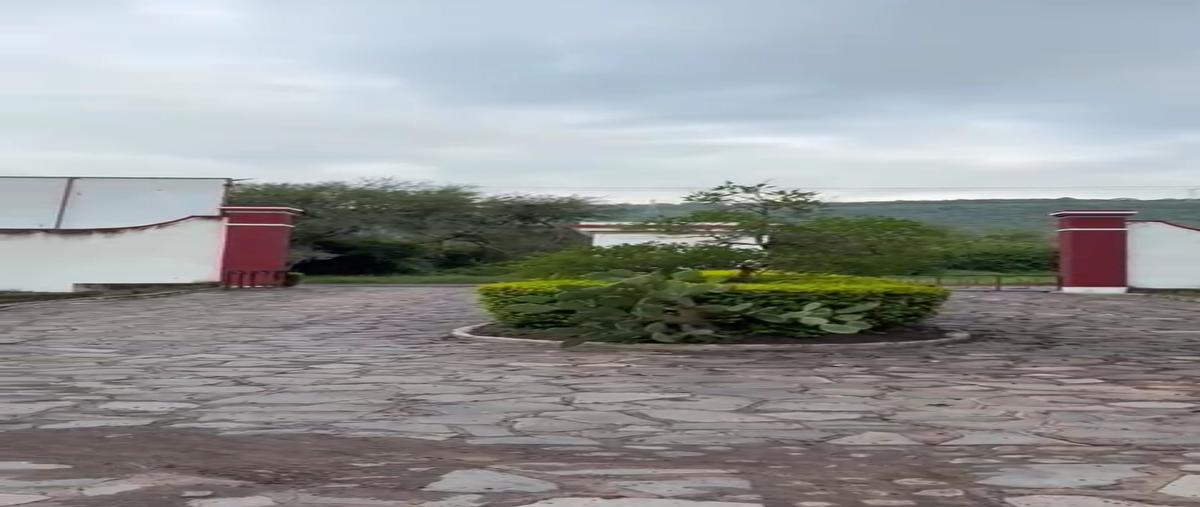 Foto de terreno habitacional en venta en  , ixtlahuacan de los membrillos, ixtlahuacán de los membrillos, jalisco, 0 No. 05