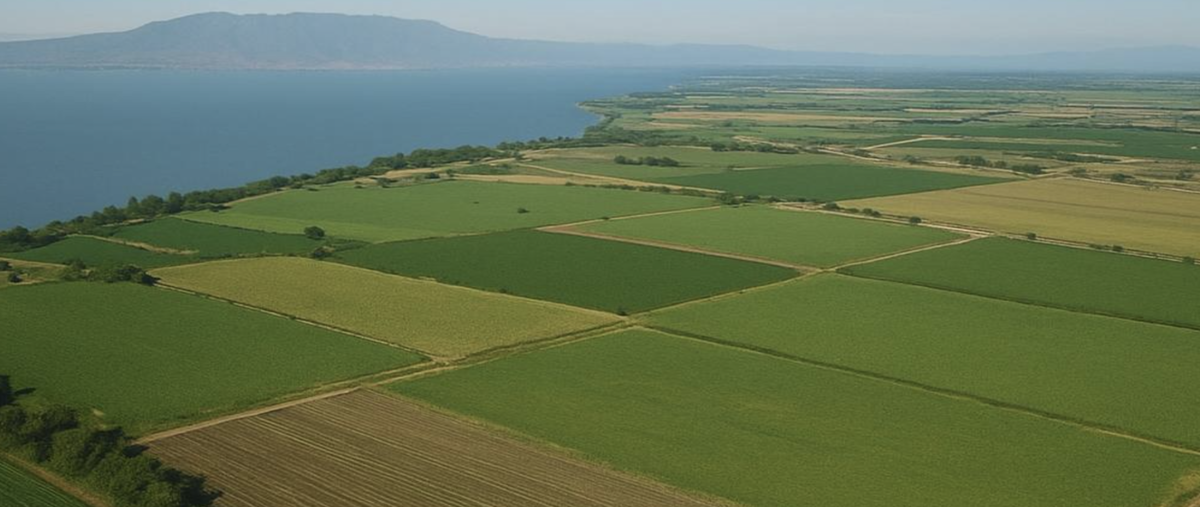 Foto de terreno industrial en venta en  , ixtlahuacan de los membrillos, ixtlahuacán de los membrillos, jalisco, 0 No. 03