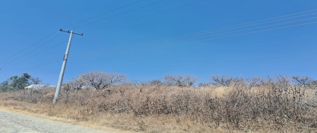 Foto de terreno habitacional en venta en  , ixtlahuacan de los membrillos, ixtlahuacán de los membrillos, jalisco, 0 No. 04