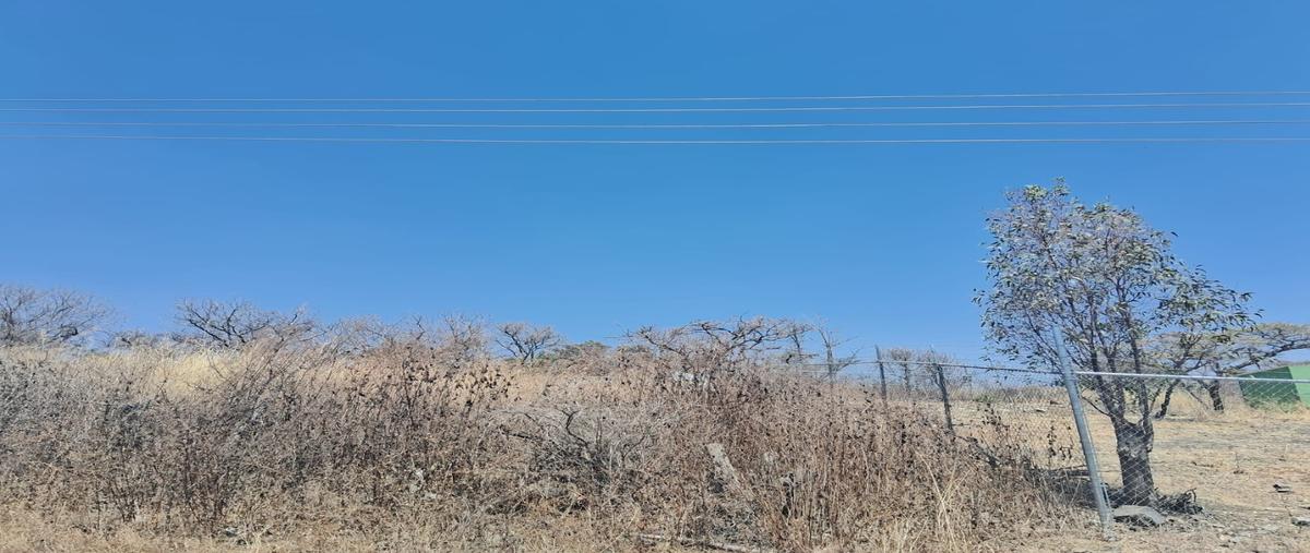 Foto de terreno habitacional en venta en  , ixtlahuacan de los membrillos, ixtlahuacán de los membrillos, jalisco, 0 No. 05