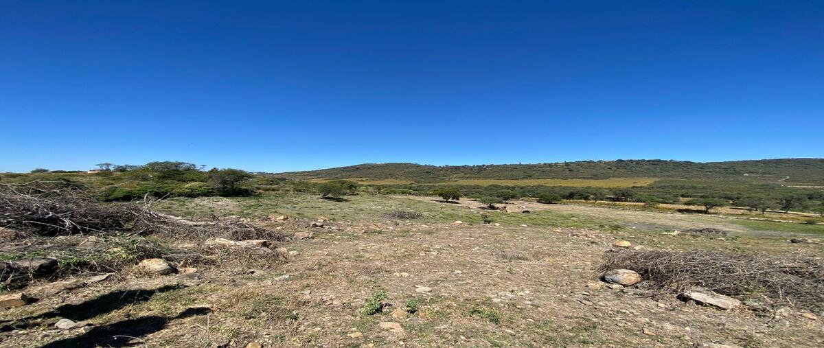 Foto de terreno habitacional en venta en  , ixtlahuacan de los membrillos, ixtlahuacán de los membrillos, jalisco, 0 No. 05