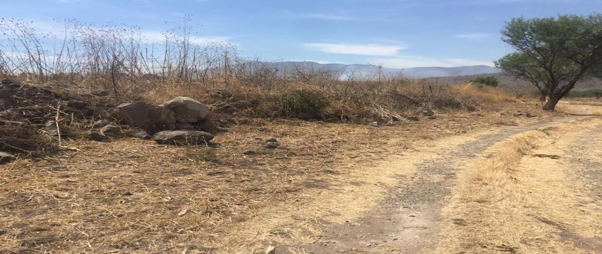 Foto de terreno habitacional en venta en  , ixtlahuacan de los membrillos, ixtlahuacán de los membrillos, jalisco, 7512137 No. 05