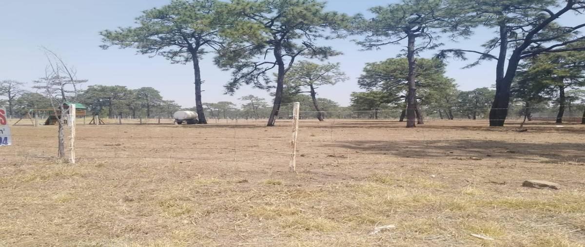 Foto de terreno habitacional en venta en  , ixtlahuacan del rio, ixtlahuacán del río, jalisco, 13903727 No. 05