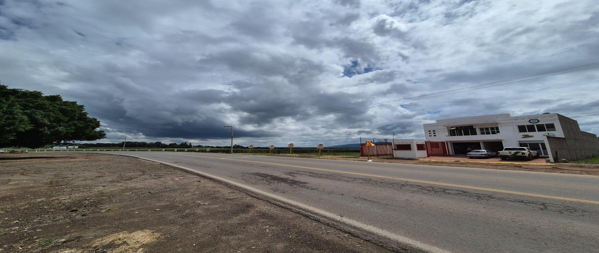 Foto de terreno habitacional en venta en  , ixtlahuacan del rio, ixtlahuacán del río, jalisco, 0 No. 04