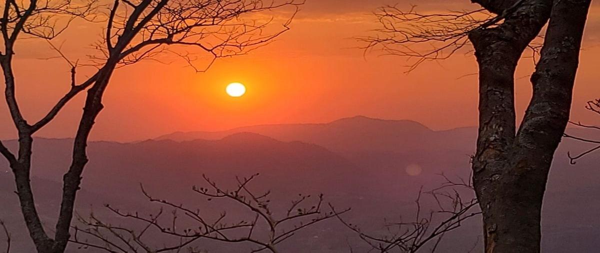 Foto de terreno habitacional en venta en  , ixtlahuacan del rio, ixtlahuacán del río, jalisco, 0 No. 04