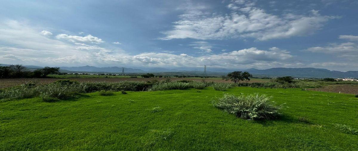 Foto de terreno habitacional en venta en  , ixtlahuacan, yautepec, morelos, 0 No. 05