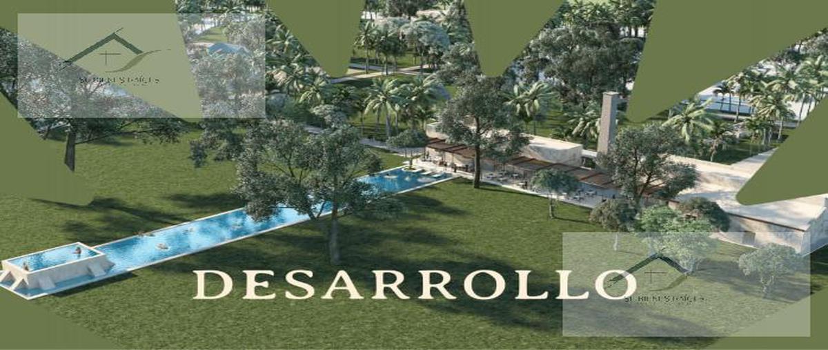 Foto de terreno habitacional en venta en  , izamal, izamal, yucatán, 19536811 No. 05