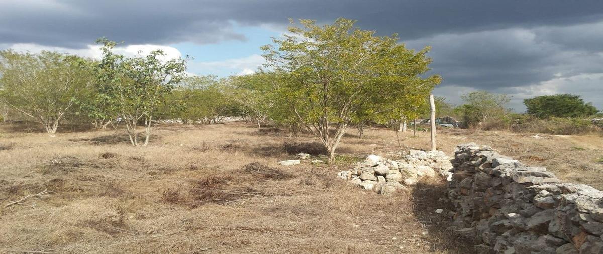 Foto de terreno habitacional en venta en  , izamal, izamal, yucatán, 27680914 No. 03