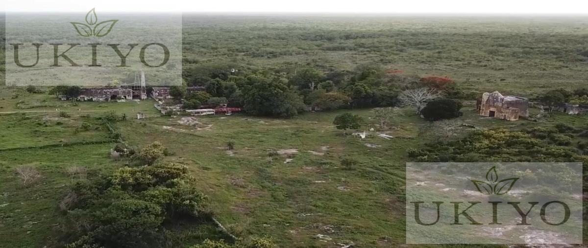Foto de terreno habitacional en venta en  , izamal, izamal, yucatán, 28436672 No. 04