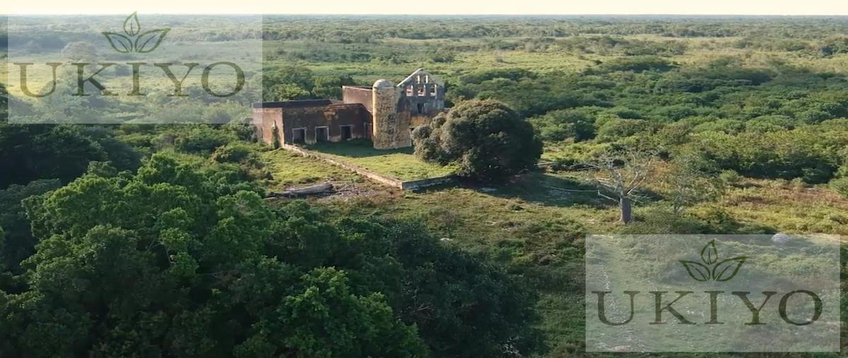 Foto de terreno habitacional en venta en  , izamal, izamal, yucatán, 28436672 No. 05