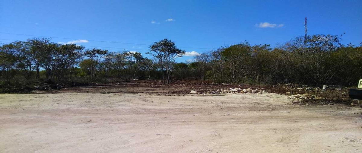 Foto de terreno habitacional en venta en  , izamal, izamal, yucatán, 28462138 No. 03
