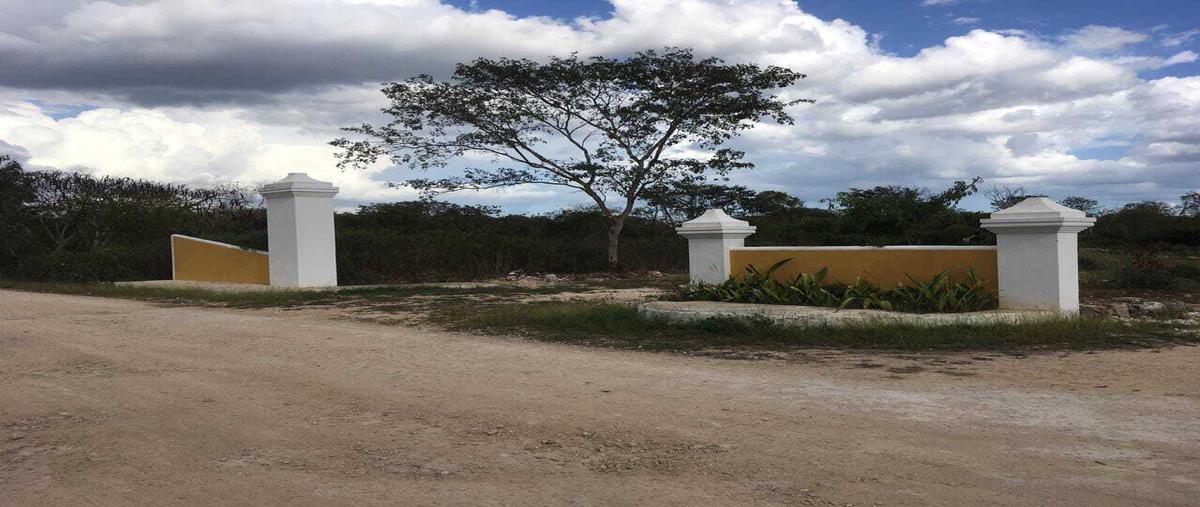 Foto de terreno habitacional en venta en  , izamal, izamal, yucatán, 28462138 No. 04
