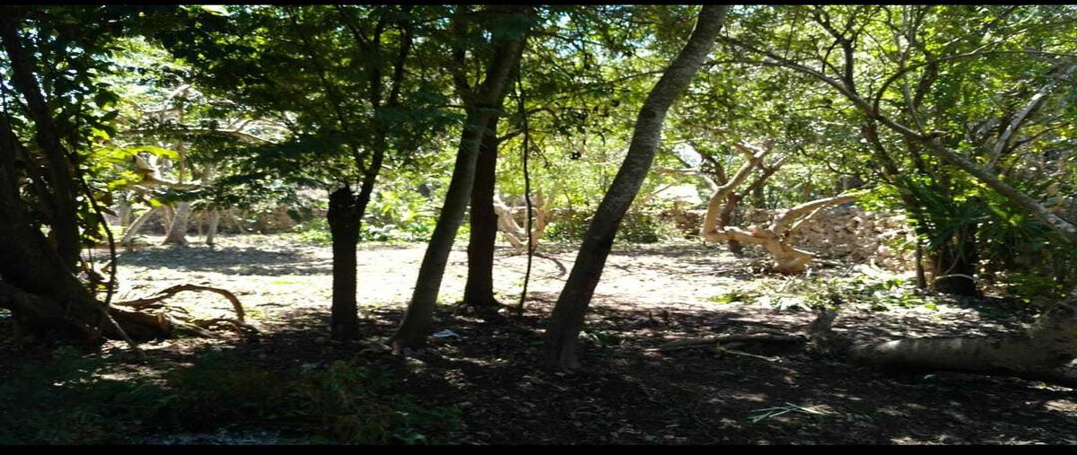Foto de terreno habitacional en venta en  , izamal, izamal, yucatán, 0 No. 05