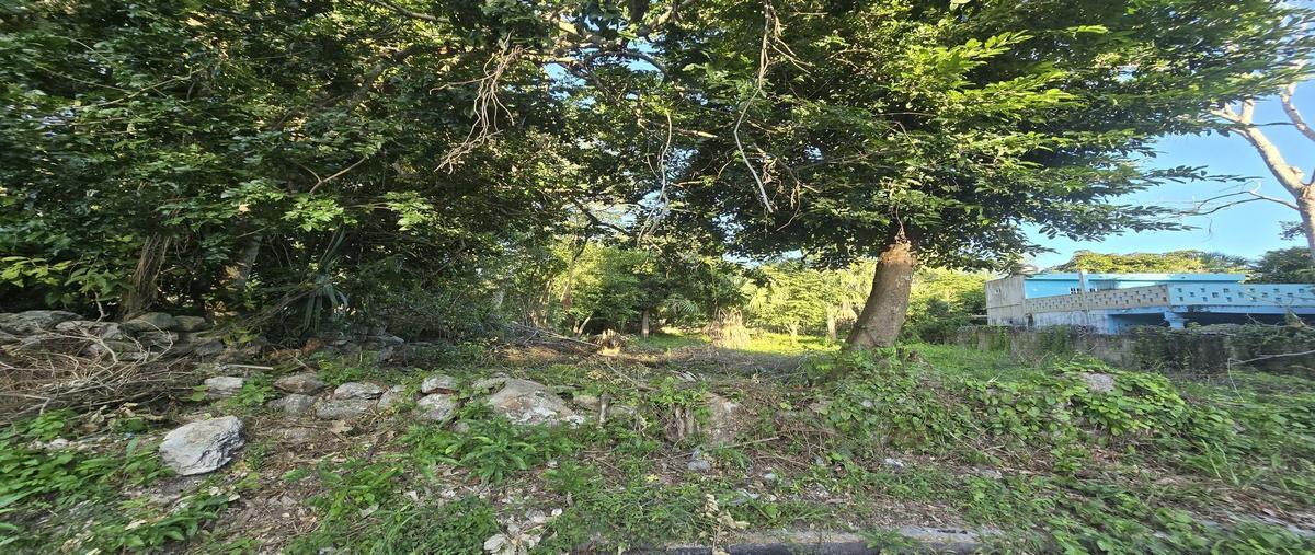 Foto de terreno habitacional en venta en  , izamal, izamal, yucatán, 0 No. 03