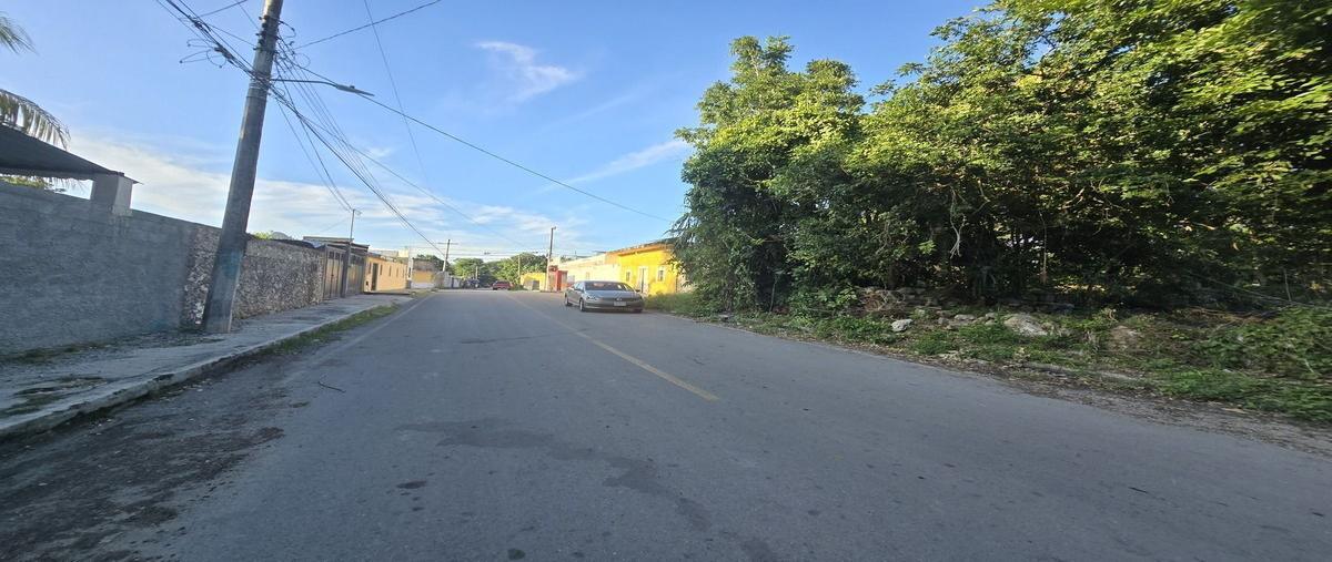 Foto de terreno habitacional en venta en  , izamal, izamal, yucatán, 0 No. 04