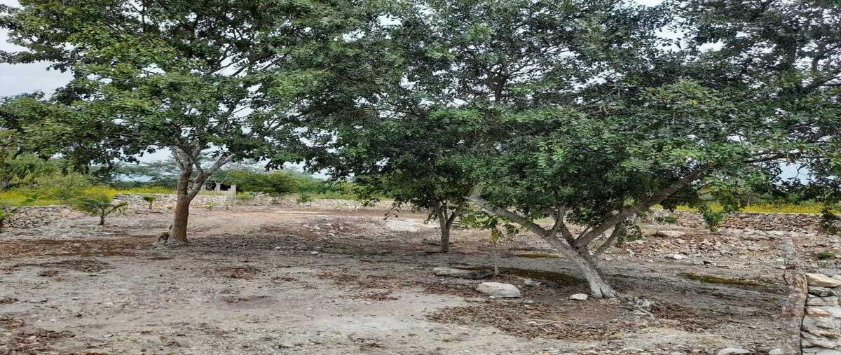 Foto de terreno habitacional en venta en  , izamal, izamal, yucatán, 29851013 No. 03