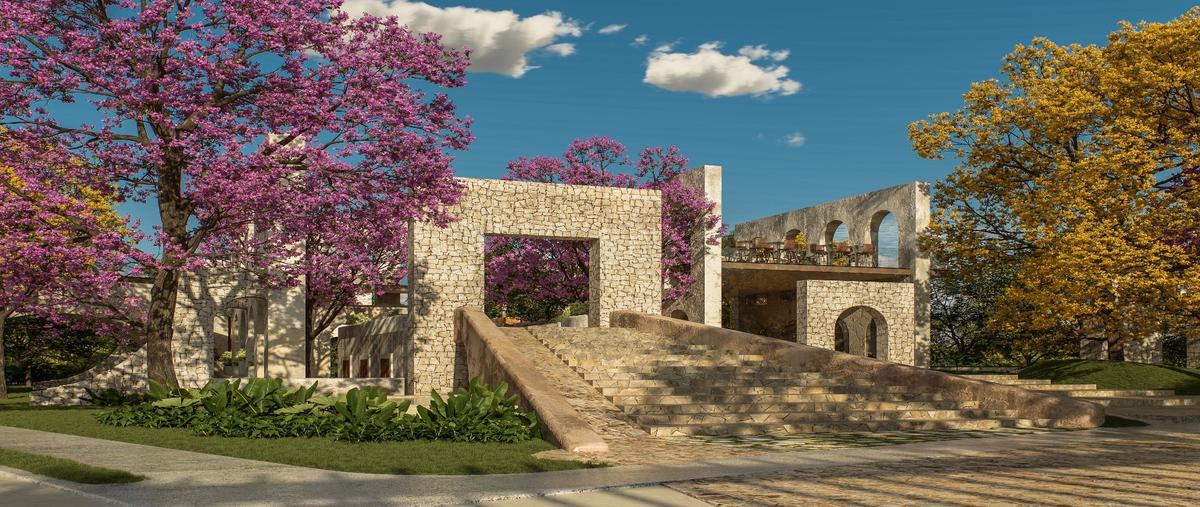 Foto de terreno habitacional en venta en  , izamal, izamal, yucatán, 0 No. 05