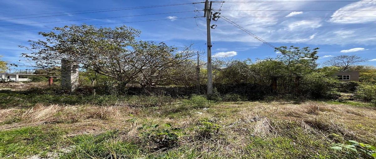 Foto de terreno habitacional en venta en  , izamal, izamal, yucatán, 0 No. 05