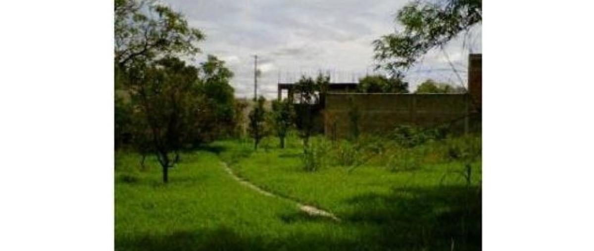 Foto de terreno habitacional en , iztaccihuatl, cuautla, morelos, 11938926 foto 04 Foto de terreno habitacional en venta en , iztaccihuatl, cuautla, morelos, 11938926 No. 04
