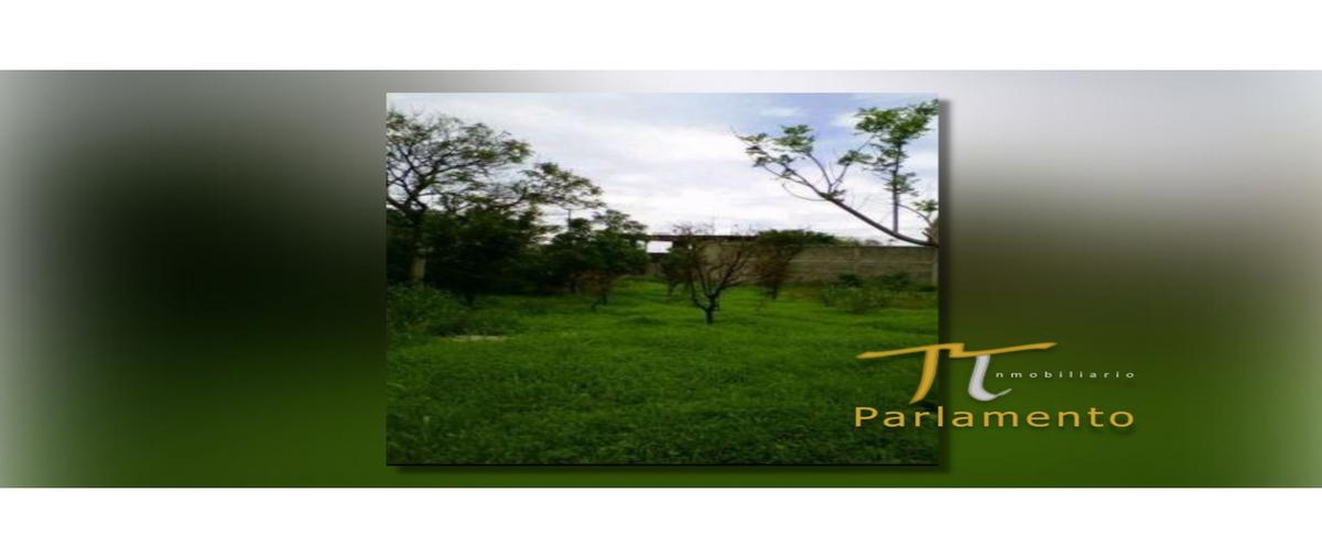 Foto de terreno habitacional en venta en  , iztaccihuatl, cuautla, morelos, 0 No. 04
