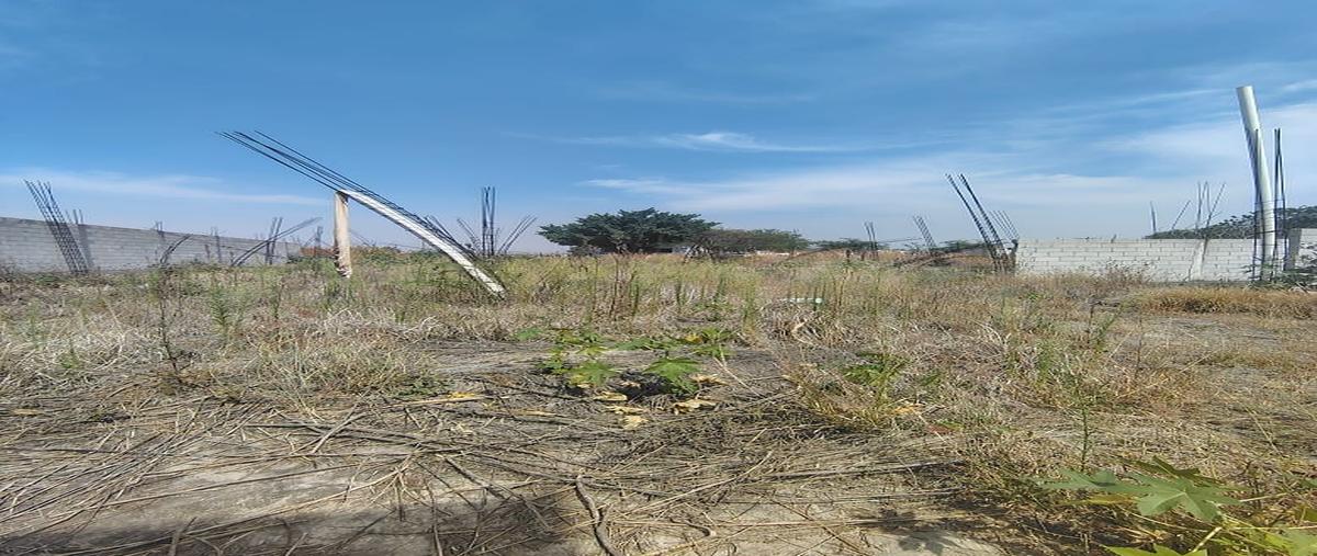 Foto de terreno habitacional en venta en izucar de matamoros , jicamán (colonia el mirador), cuautla, morelos, 0 No. 04