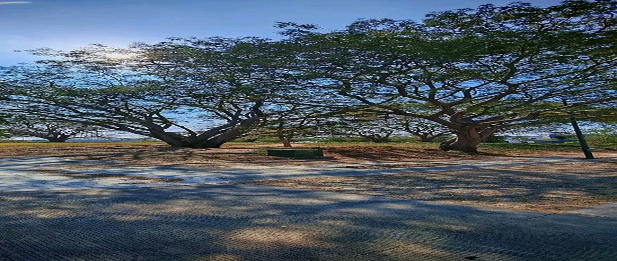 Foto de terreno habitacional en venta en j jesús dueñas llerenas , las lagunas, villa de álvarez, colima, 0 No. 03