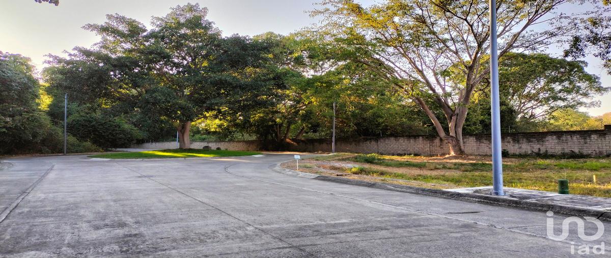 Foto de terreno habitacional en venta en jacaranda , altozano, cuauhtémoc, colima, 29976747 No. 03