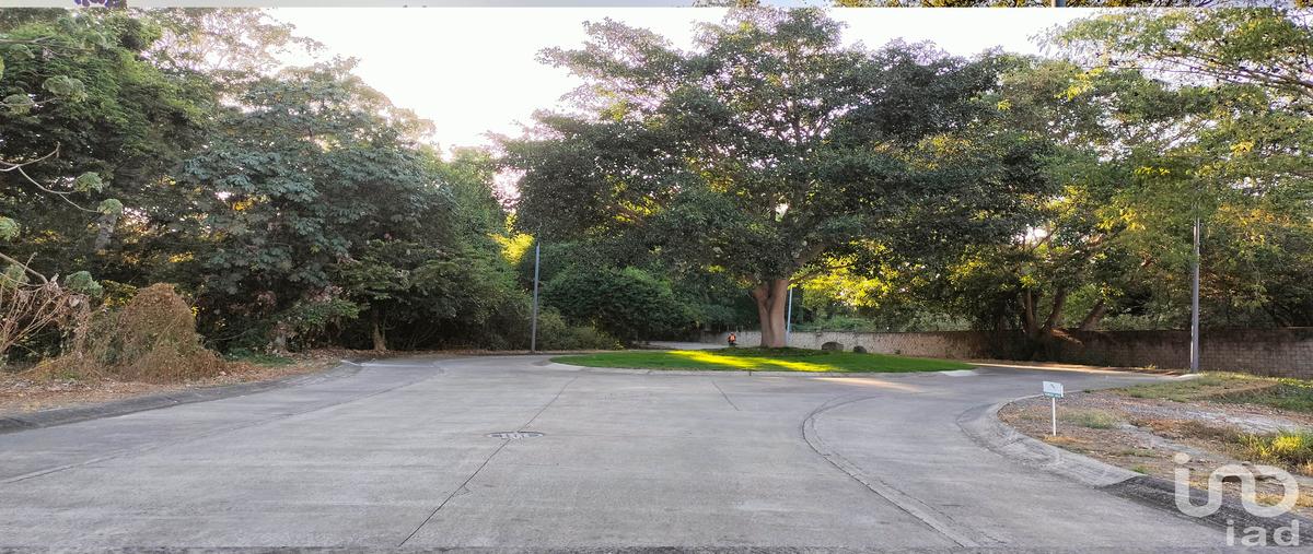 Foto de terreno habitacional en venta en jacaranda , altozano, cuauhtémoc, colima, 29976747 No. 05