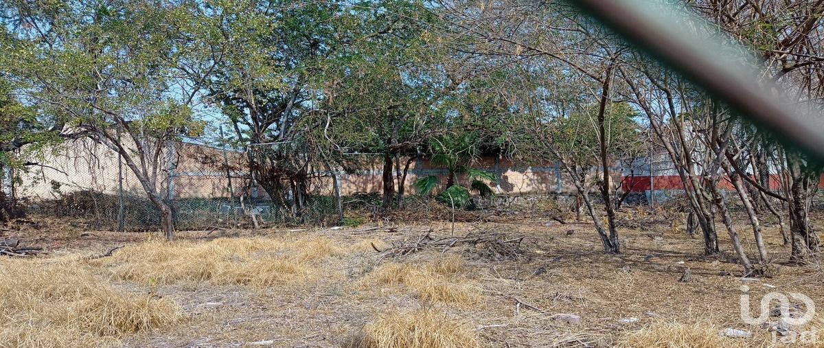 Foto de terreno habitacional en venta en jacarandas 101, real del puente, xochitepec, morelos, 29021969 No. 03