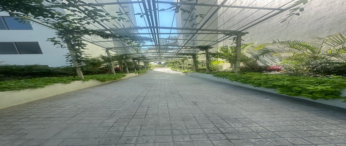 Foto de departamento en renta en  , jacarandas, cuernavaca, morelos, 0 No. 04