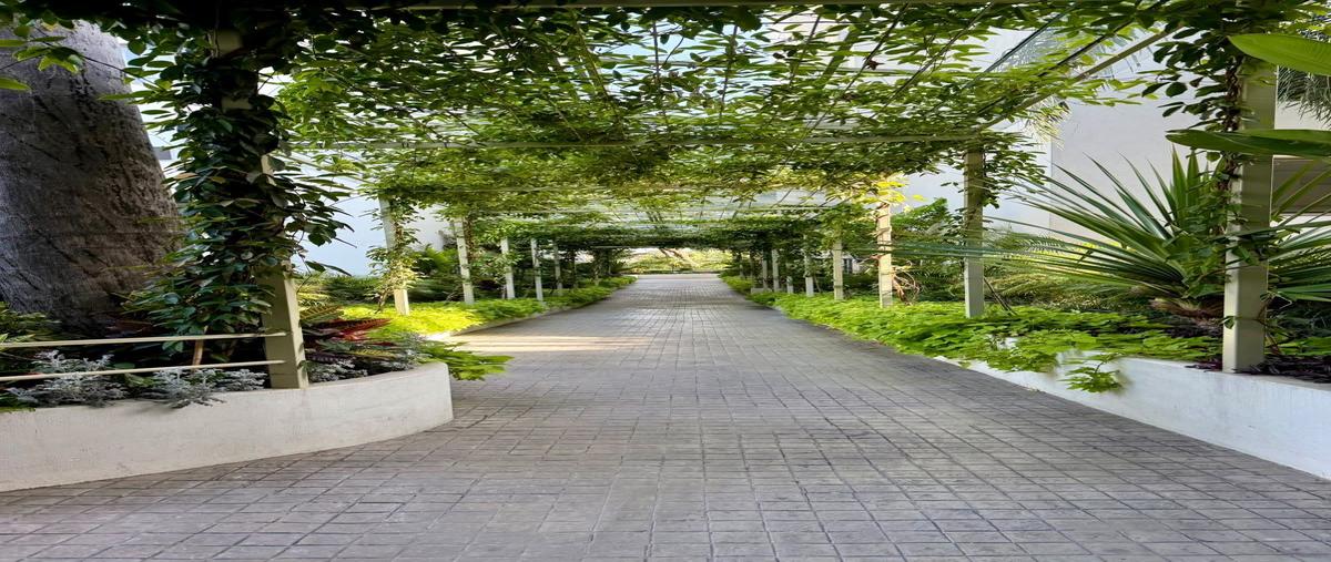 Foto de departamento en renta en  , jacarandas, cuernavaca, morelos, 0 No. 05