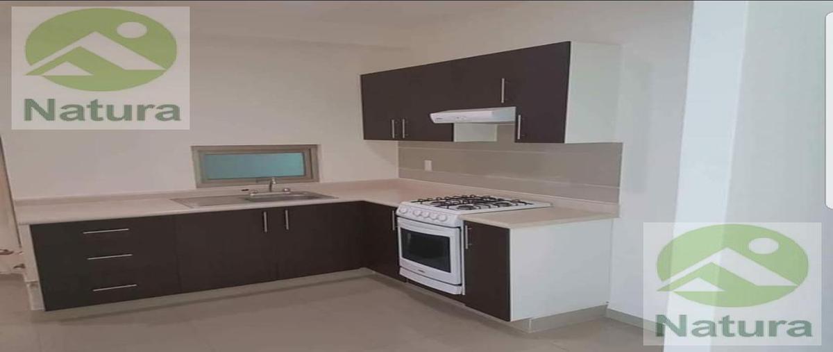 Foto de departamento en renta en  , jacarandas, cuernavaca, morelos, 8931436 No. 04